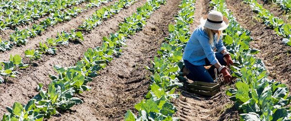 Agrihood Life: Connect Agriculture to Neighborhoods