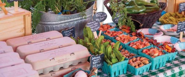 Setting Up An Egg CSA For Your Community