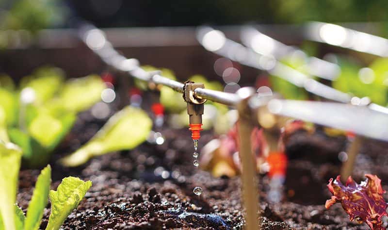 an irrigation system is essential farming equipment for plant growing