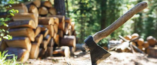 Warm It Up With This Guide To Firewood