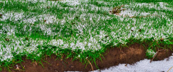 What Do Farmers Do in the Winter: Mild Weather