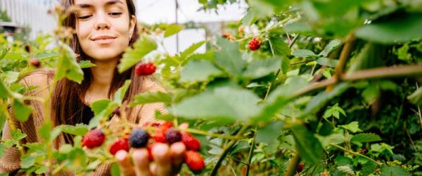 3 Important Principles For Sustainable Ecosystem Design