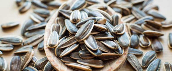 How to Roast Sunflower Seeds With the Shell On