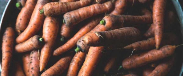 Root Cellar Storage Guide: From Apples To Turnips