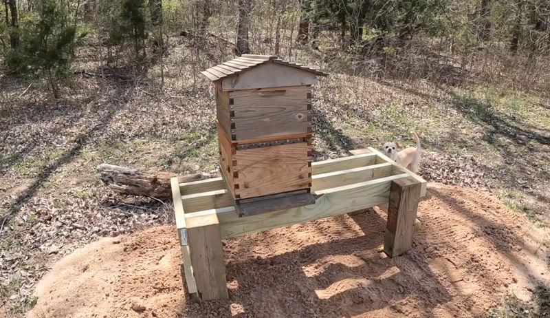 bee stand
