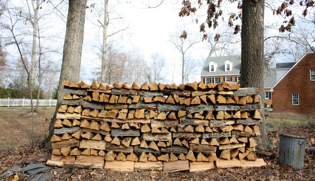 The Best Trees for Firewood and the Worst