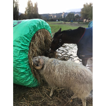 BIG BALE BUDDY - Small