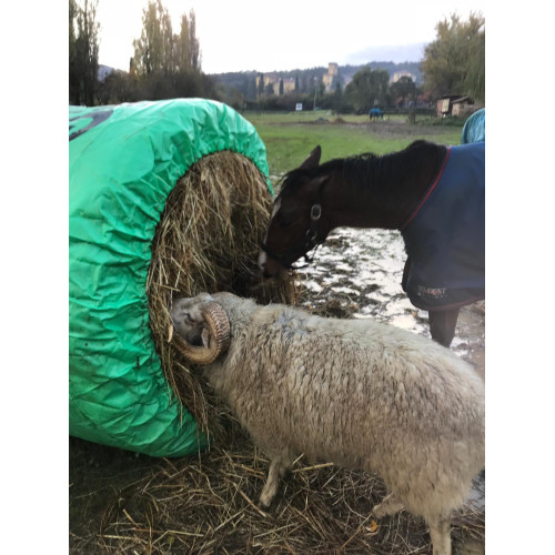 BIG BALE BUDDY - Small