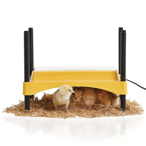 Brinsea EcoGlow Safety 600 Chick Brooder