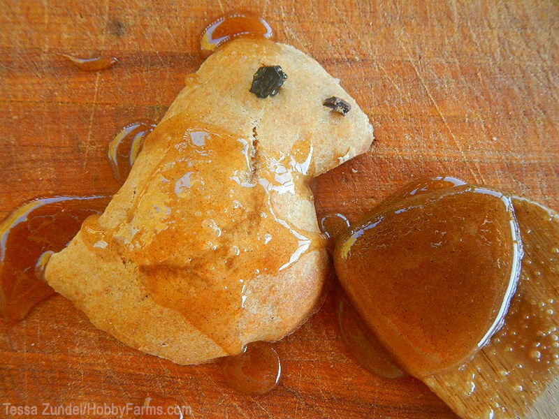 4 Sweet Ways to Celebrate Easter - Photo by Tessa Zundel (HobbyFarms.com) 4 Sweet Ways to Celebrate Easter - Photo by Tessa Zundel (HobbyFarms.com)