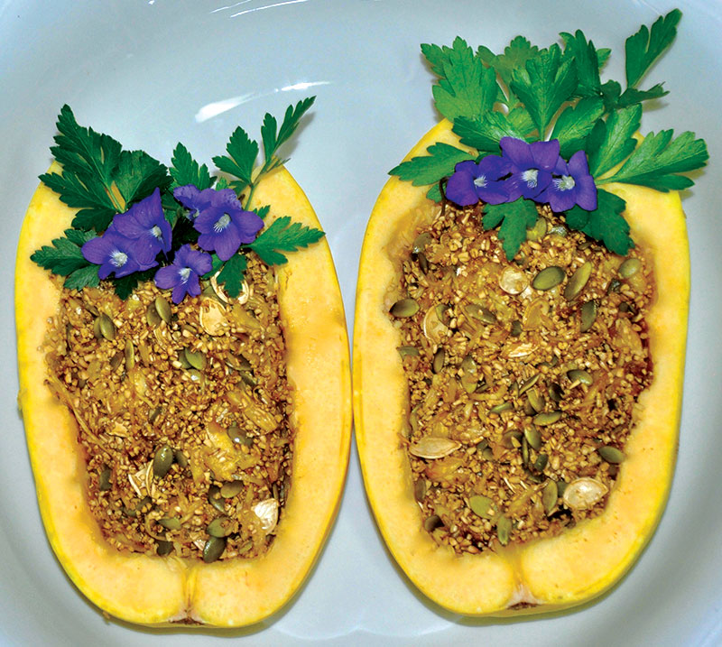 squash pumpkin mash chickens recipe