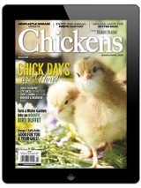 Chickens-March/April 2020 Digital