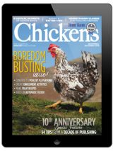Chickens-November/December 2019 Digital