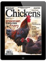 Chickens-May/June 2020 Digital