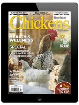 Chickens-July/Aug 2020 Digital