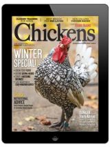Chickens-January/February 2020 Digital