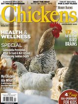 Chickens-July/Aug 2020