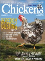 chicken print november/december 2019 issue