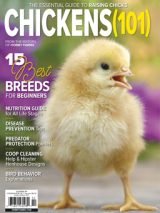 chicken print issue