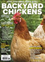 backyard chickens print