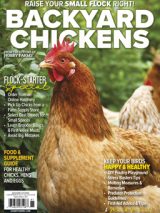 backyard chickens print