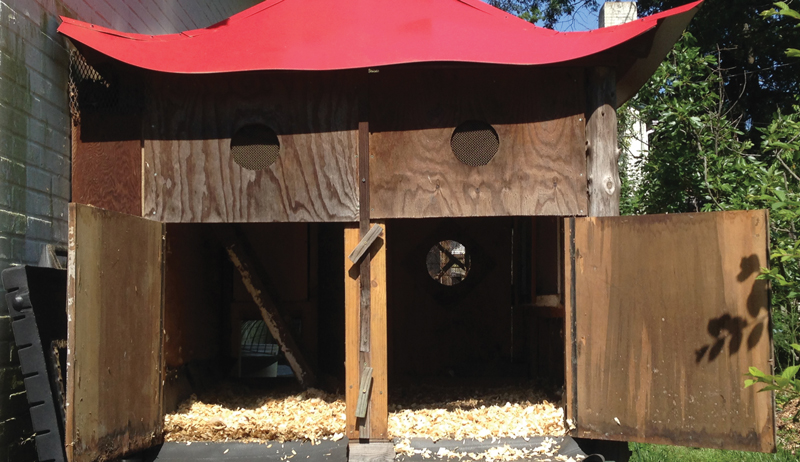 chicken coop doors