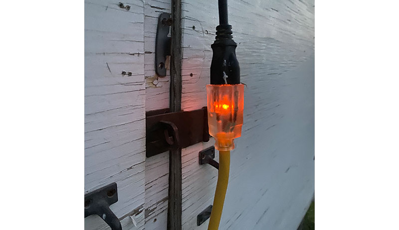 chickens winter cold