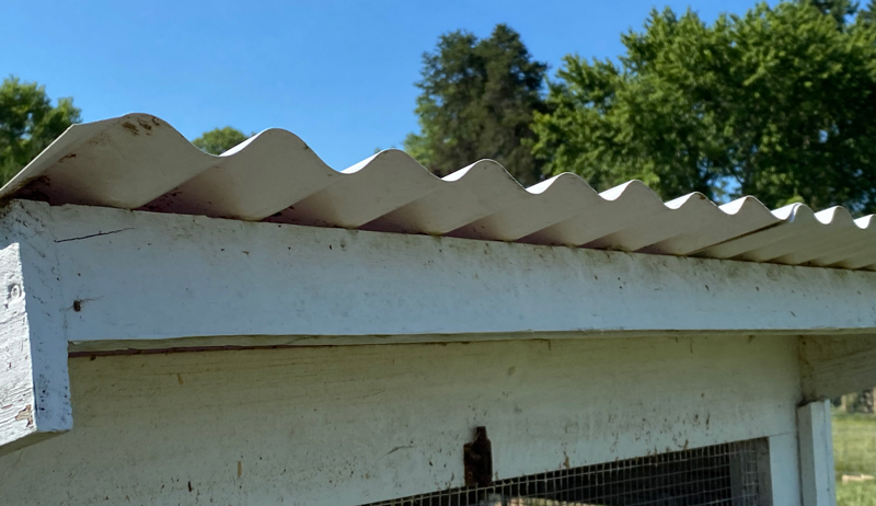 skillion coop roof corrugated chicken chickens