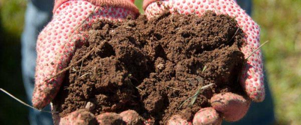 Improve Your Farm Soil Health On World Soil Day 2023