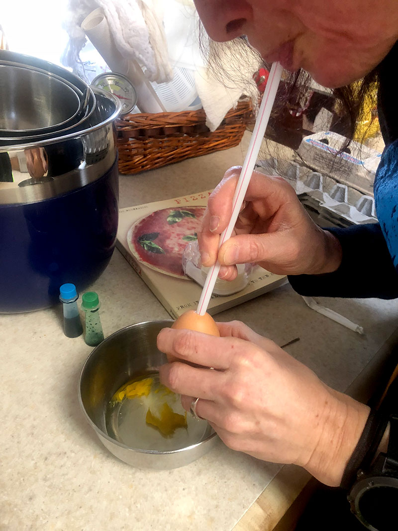 chickens eating eggs