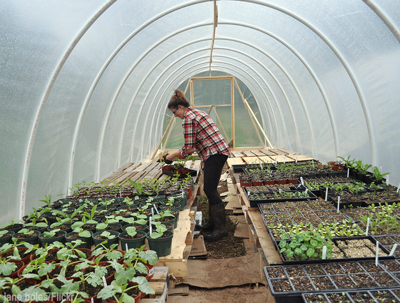 5 Places to Look For Farm Grants - Photo by jane boles/Flickr (HobbyFarms.com) #grants #farmfunding #beginningfarmer 5 Places to Look For Farm Grants - Photo by jane boles/Flickr (HobbyFarms.com) #grants #farmfunding #beginningfarmer