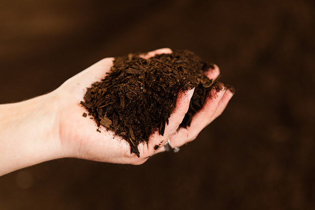 Compost makes a great soil amendment to help your crops grow organically.