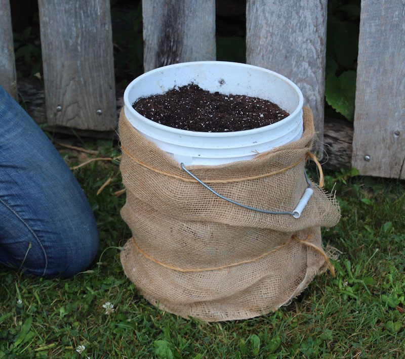 filling a bucket garden with dirt