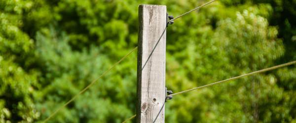 9 Essential Fence Repair Tools Every Farmer Needs