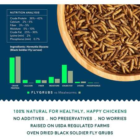 FLYGRUBS | Dried Black Soldier Fly Grubs for Birds Hens Ducks Reptiles (1 lb) -  Non-GMO - 85X More Calcium Than Meal Worms
