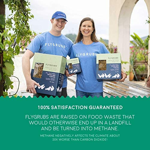 FLYGRUBS | Dried Black Soldier Fly Grubs for Birds Hens Ducks Reptiles (5 lb) -  Non-GMO - 85X More Calcium Than Meal Worms