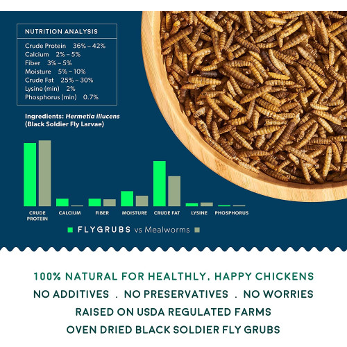 FLYGRUBS | Dried Black Soldier Fly Grubs for Birds Hens Ducks Reptiles (5 lb) -  Non-GMO - 85X More Calcium Than Meal Worms