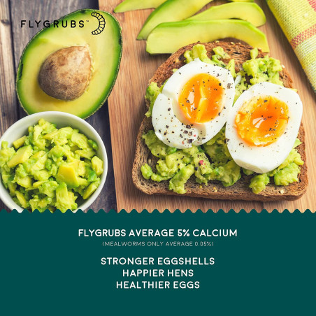 FLYGRUBS | Dried Black Soldier Fly Grubs for Birds Hens Ducks Reptiles (5 lb) -  Non-GMO - 85X More Calcium Than Meal Worms