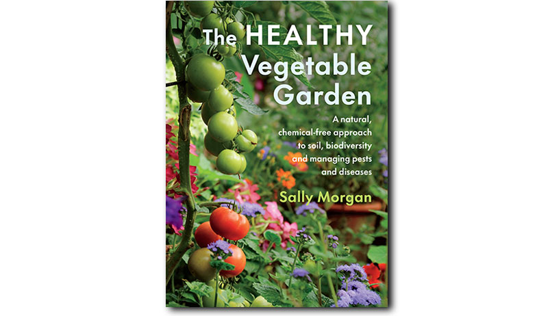 healthy vegetable garden