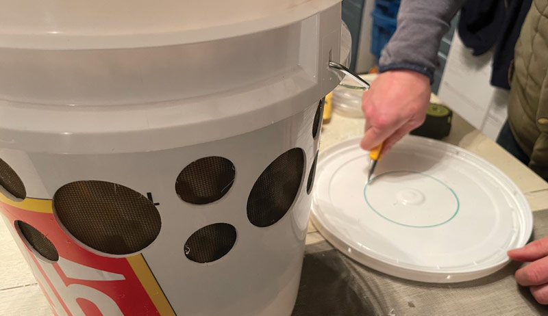 chicken chickens swamp cooler