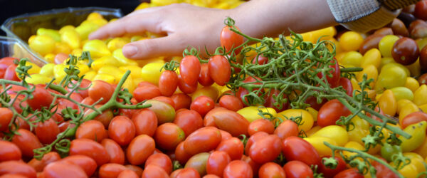 How to Sell Cherry Tomatoes: Proven Tips for Market Success