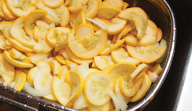 fermentation fermented lacto-fermentation