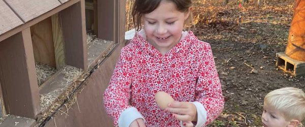 Chicken Chat: Building A Flock From Humble Beginnings