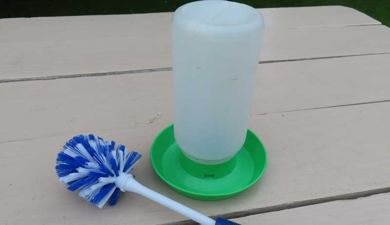 how-to-clean-a-chicken-coop