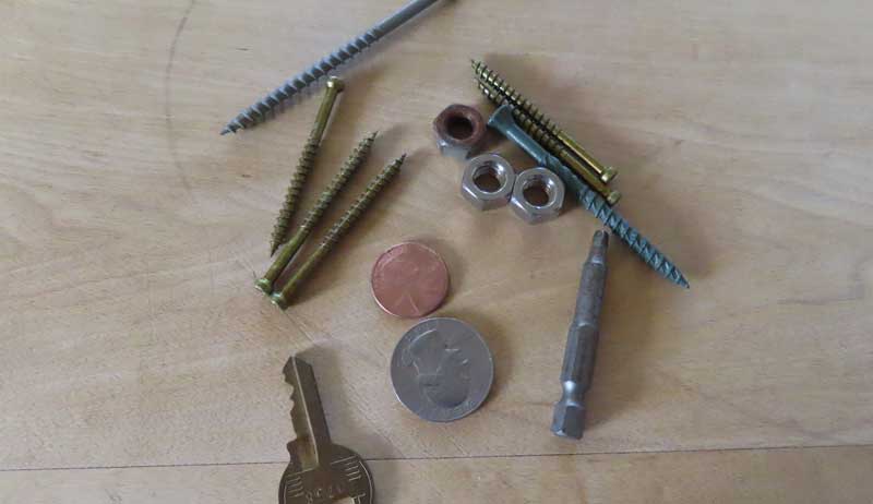 ducks metal toxicity poisoning