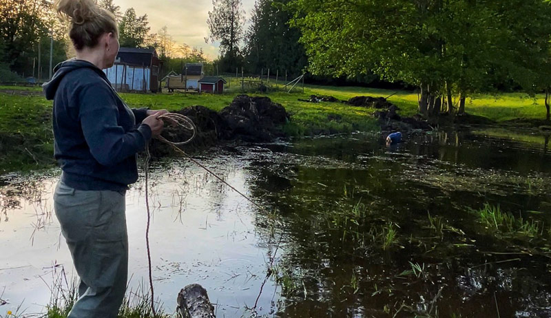 Intelligent fish farming is on the rise, and with the help of smart devices some hobby farms are making the switch to fish.