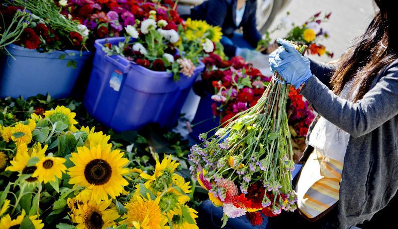 flowers farmers market CSA profitable