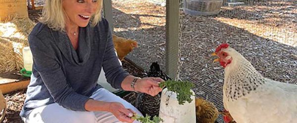 This Cool California Coop Is Sized Right For Siblings