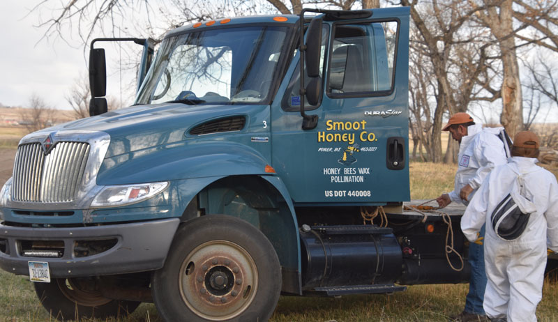 honeybees honey Smoot