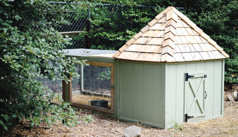 permaculture livestock ducks geese housing